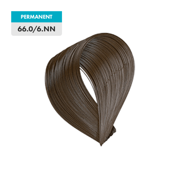 66.0 / 6.NN - Dark Natural Blonde Intense